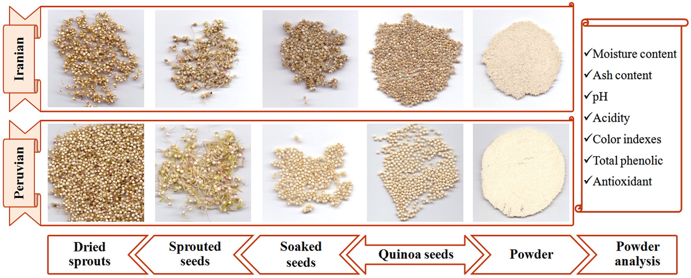 Comparison of physicochemical properties of Iranian and Peruvian quinoa powders and the influence of magnetic field on sprouting behavior 