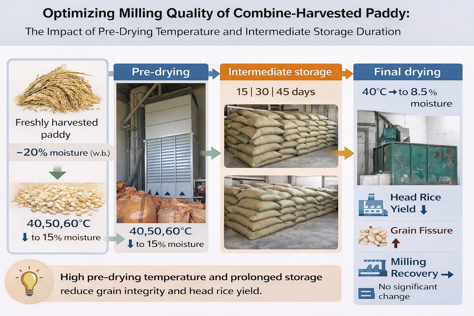 Optimizing milling quality of combine-harvested paddy: The impact of pre-drying temperature and intermediate storage duration 