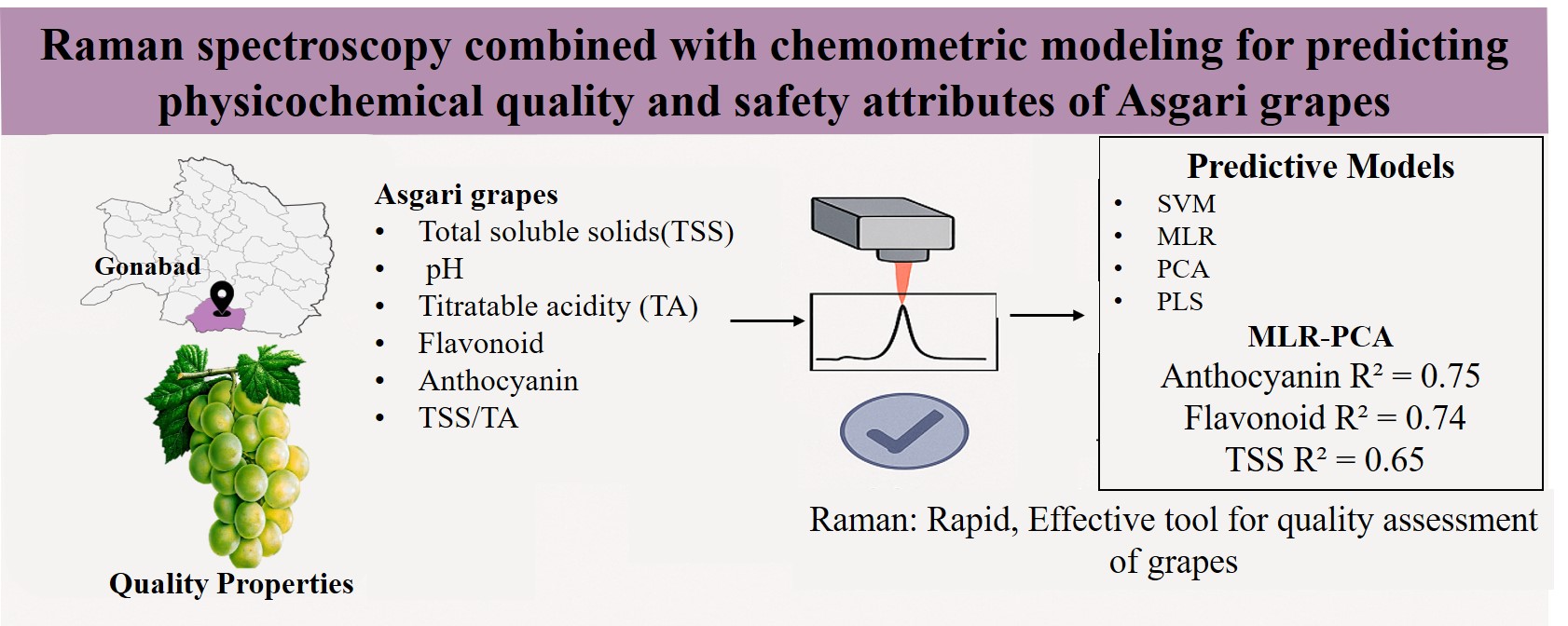 Raman spectroscopy combined with chemometric modeling for predicting physicochemical quality and safety attributes of Asgari grapes 
